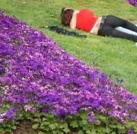 Sexdating bliver mere og mere brugt i Danmark